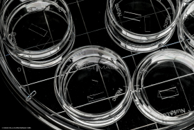 Wafer Silicium_H3558