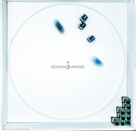 Groupes de robots_J2190