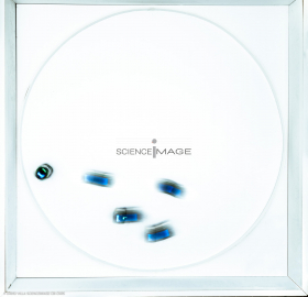 Groupes de robots_J2189-2