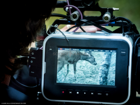 Le Blob_Making of le film_L3112