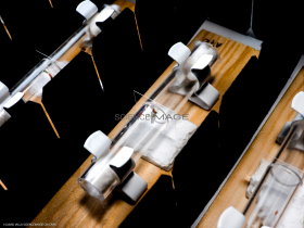 Voyeuristic flies-L2_1587