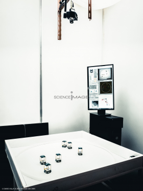 Groupes de Robots_J2598