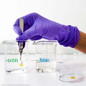 Kit BLOB embarqué pour ISS-L2_8435