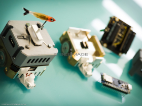 Poissons-Mécanismes comportementaux_Robotique-L5_0248