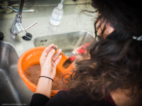 Salle de Nettoyage-L5_0533
