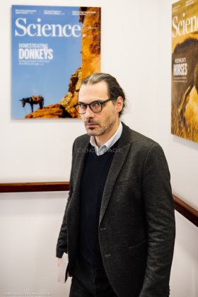 Ludovic Orlando CAGT_M1-2067