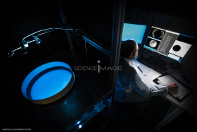 Dispositif Réalité Virtuelle Poissons_M2_0674