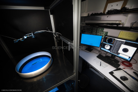Dispositif Réalité Virtuelle Poissons_M2_0744