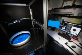 Dispositif Réalité Virtuelle Poissons_M2_0747