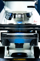 Microscopie Confocal_I3099