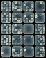 Culture Cellulaire_H6586-6605