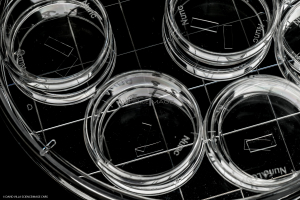 Wafer Silicium_H3558