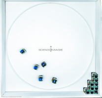 Groupes de robots_J2185