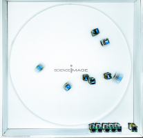 Groupes de robots_J2232