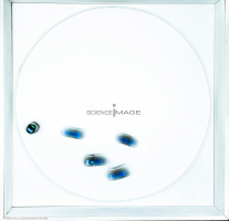 Groupes de robots_J2189-2