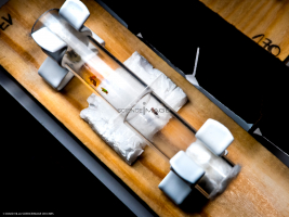 Voyeuristic flies-L2_1617