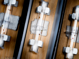 Voyeuristic flies-L2_1583