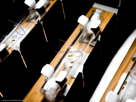 Voyeuristic flies-L2_1585