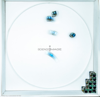 Groupes de Robots_J2194