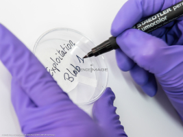Kit BLOB embarqué pour ISS-L2_8362