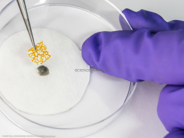 Kit BLOB embarqué pour ISS-L2_8524
