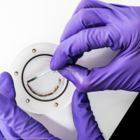 Kit BLOB embarqué pour ISS-L2_8648