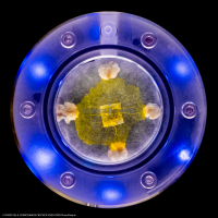Kit BLOB embarqué pour ISS-L2_9046