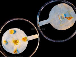 Kit BLOB embarqué pour ISS-L2_9522