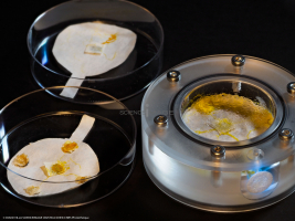 Kit BLOB embarqué pour ISS-L2_9771