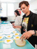 Blob_projet participatif_L4_1847