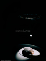 Céramothèque-L4_7055
