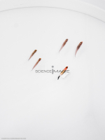 Poissons-Mécanismes comportementaux_Robotique-L4_9154