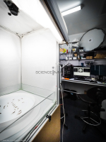 Poissons-Mécanismes comportementaux_Robotique-L5_0192