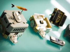 Poissons-Mécanismes comportementaux_Robotique-L5_0248