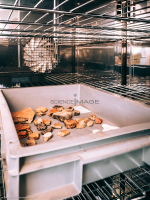 Salle de Nettoyage-L5_0858