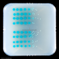 Culture Cellulaire_H4290