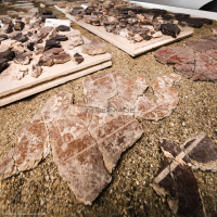 Plateau - Etude-remontage peinture murale_M1-2758