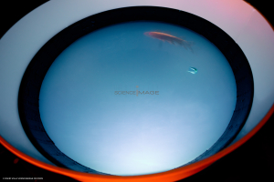 Dispositif Réalité Virtuelle Poissons_M2_0070