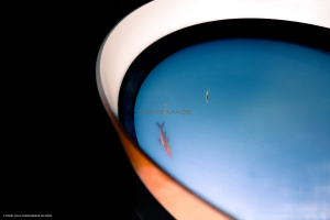 Dispositif Réalité Virtuelle Poissons_M2_0087
