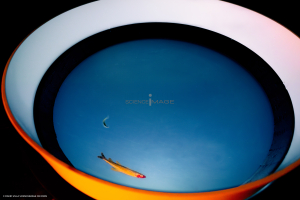 Dispositif Réalité Virtuelle Poissons_M2_0140
