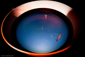 Dispositif Réalité Virtuelle Poissons_M2_0303