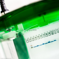 Electrophorèse_G2301