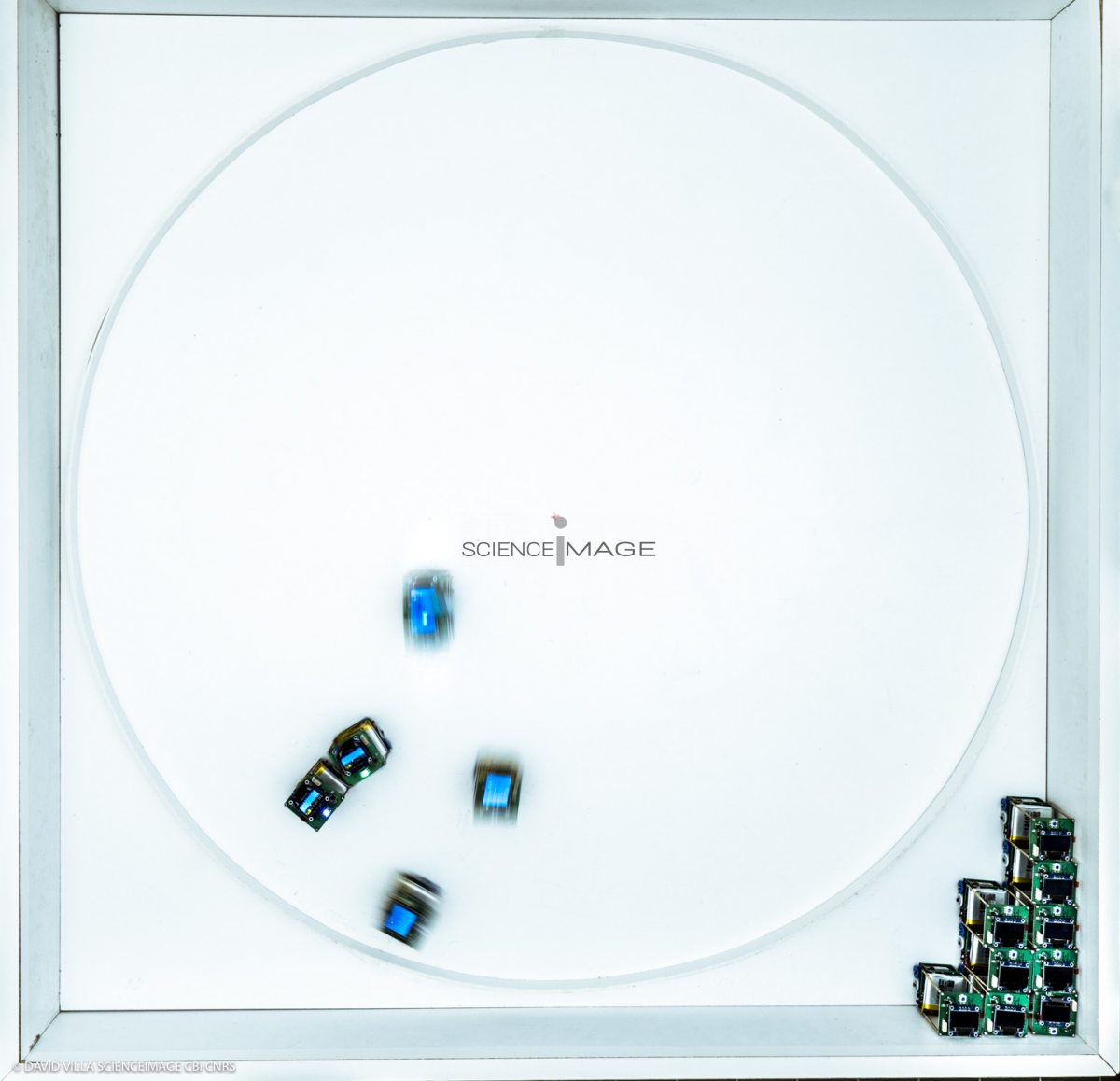 Groupes de robots_J2202