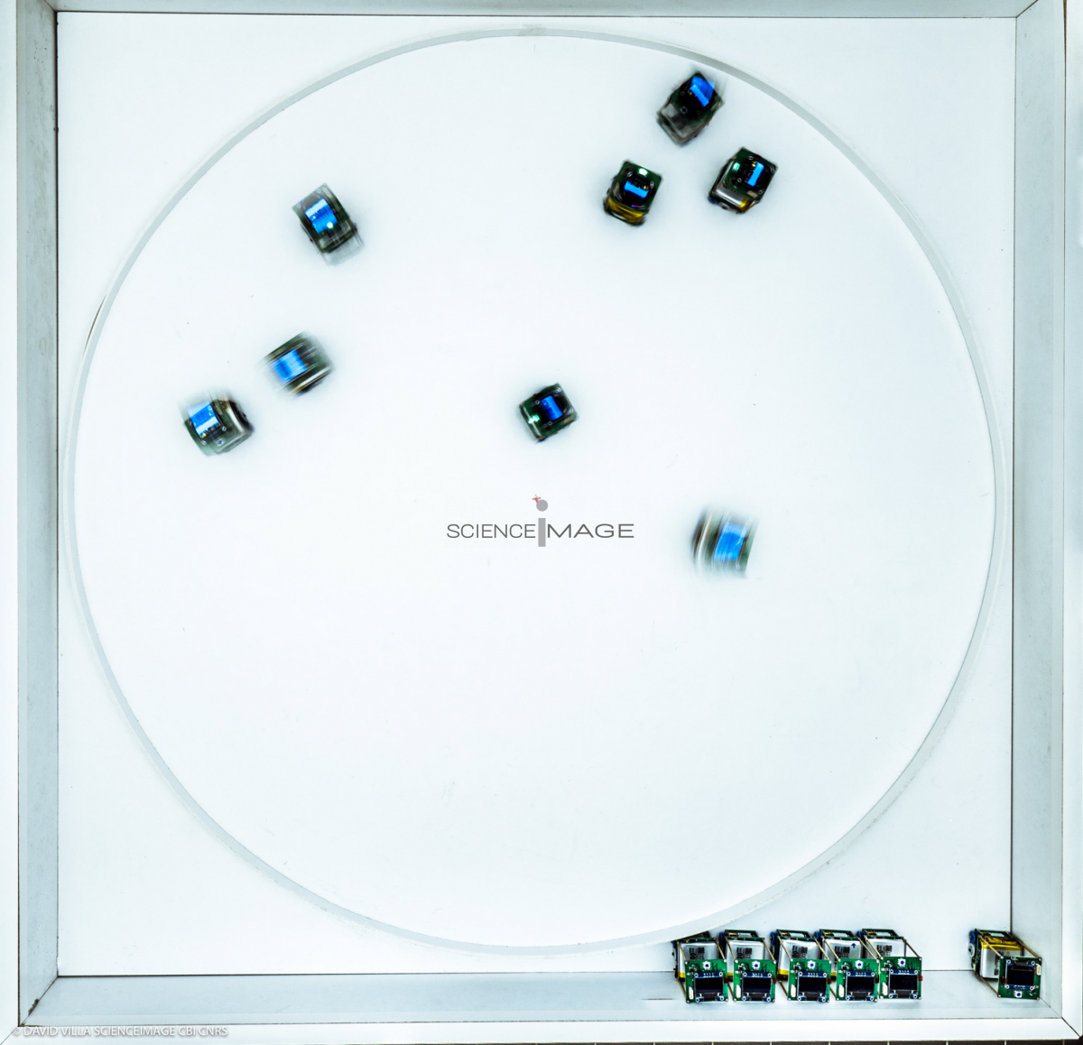 Groupes de robots_J2229