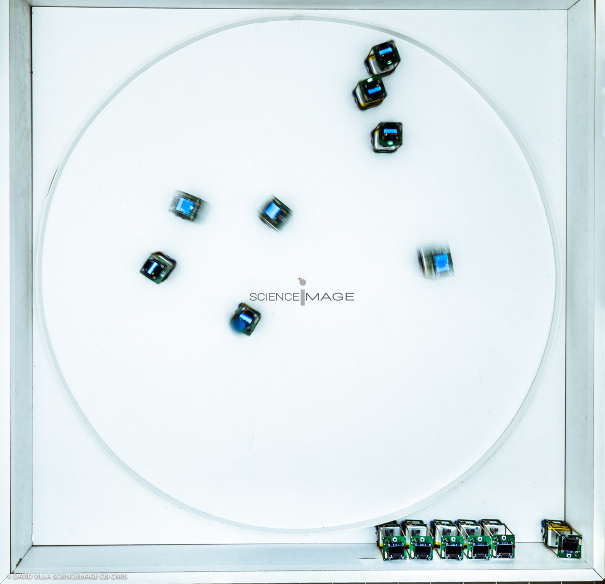 Groupes de robots_J2230