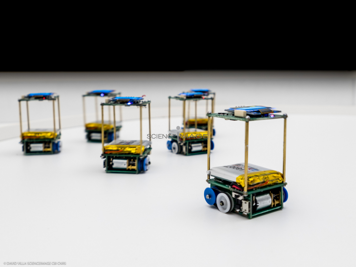 Groupes de Robots_J2318