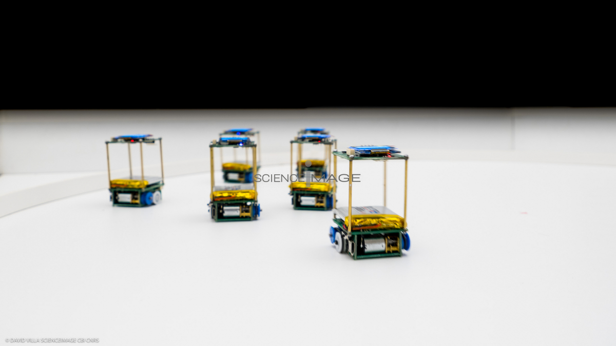 Groupes de Robots_J2320