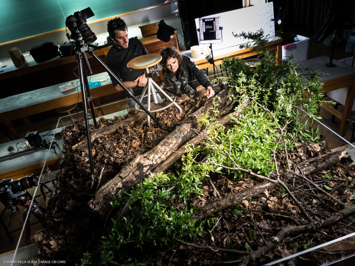 Le Blob_Making of le Film_L1398