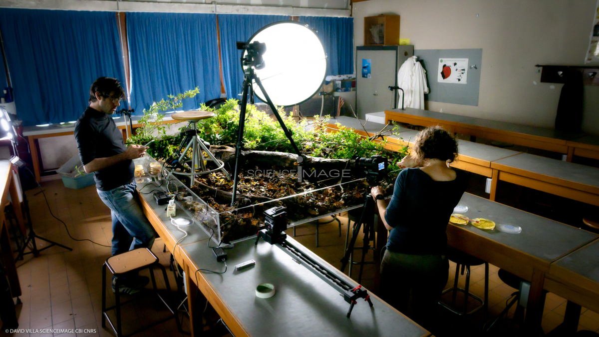 Le Blob_Making of le Film_L1487
