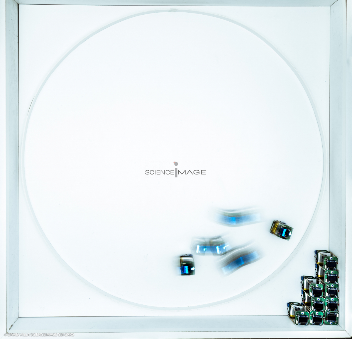 Groupes de Robots_J2192
